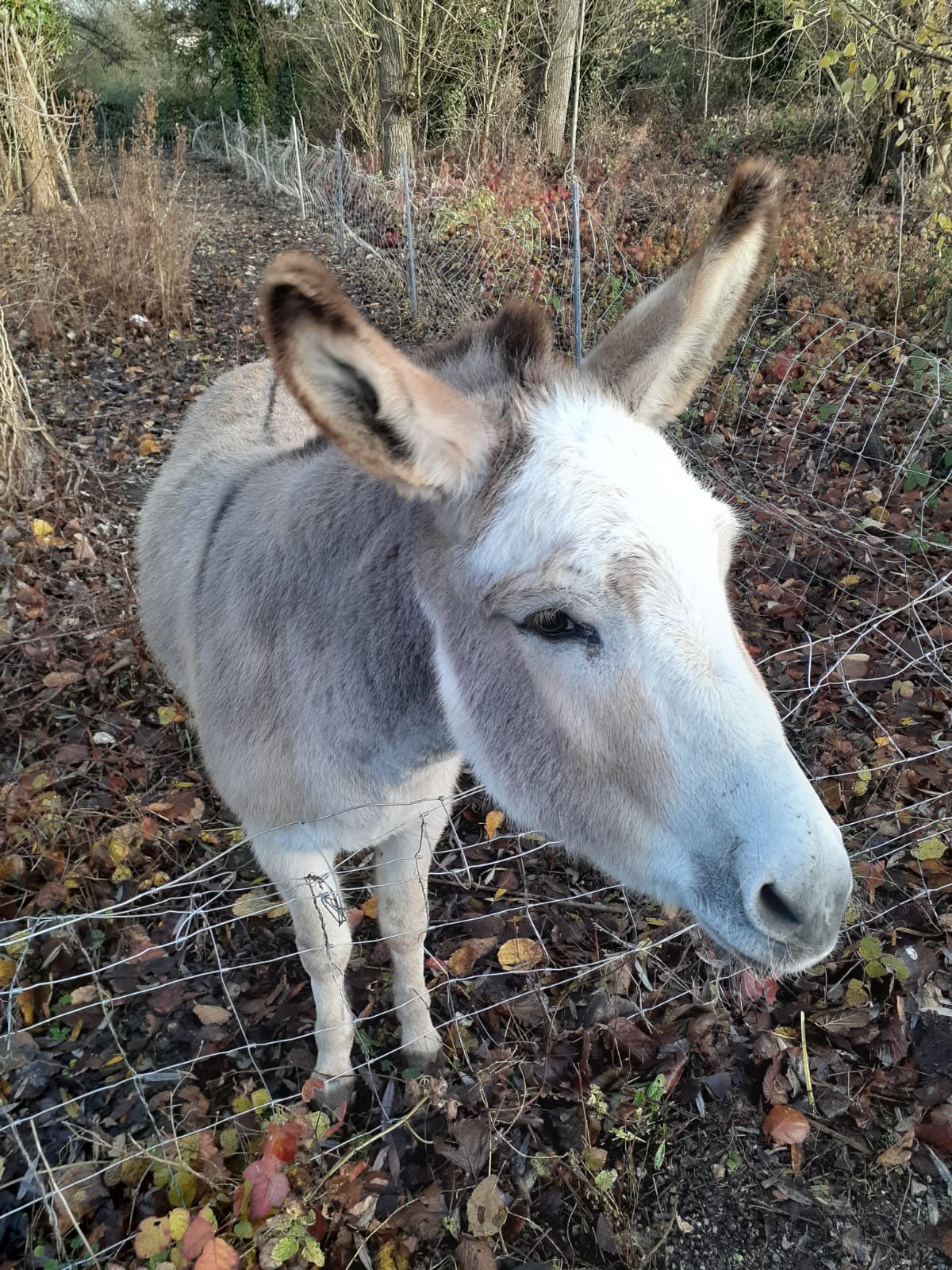 Rencontre au gré des balades