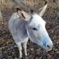 Rencontre au gré des balades