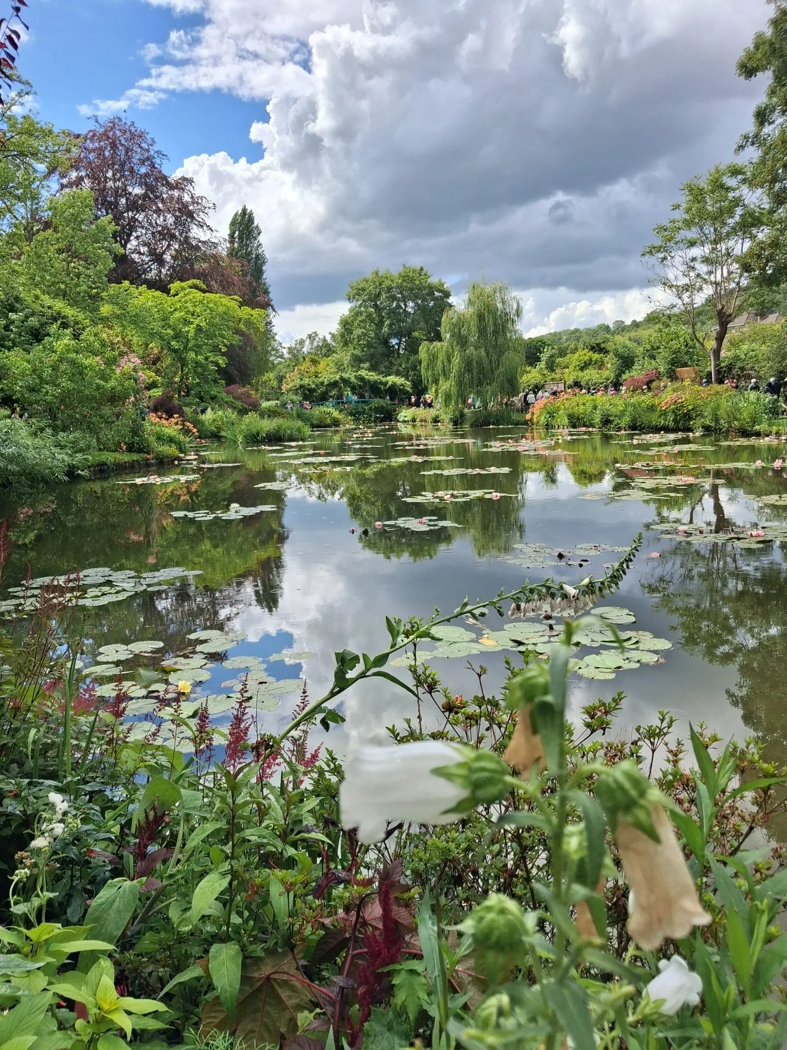 Img 20260602 wa0084