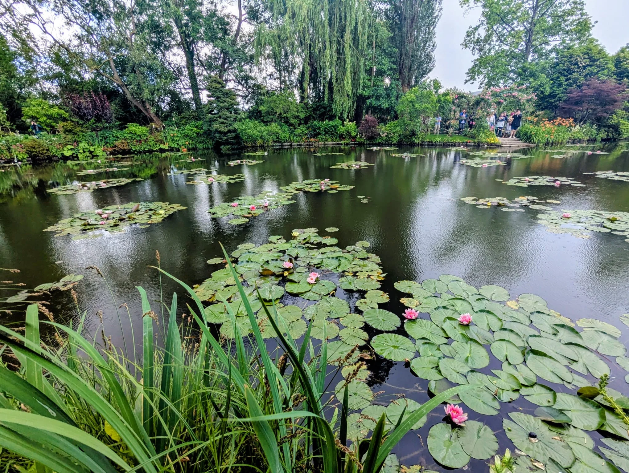 Img 20260602 wa0139