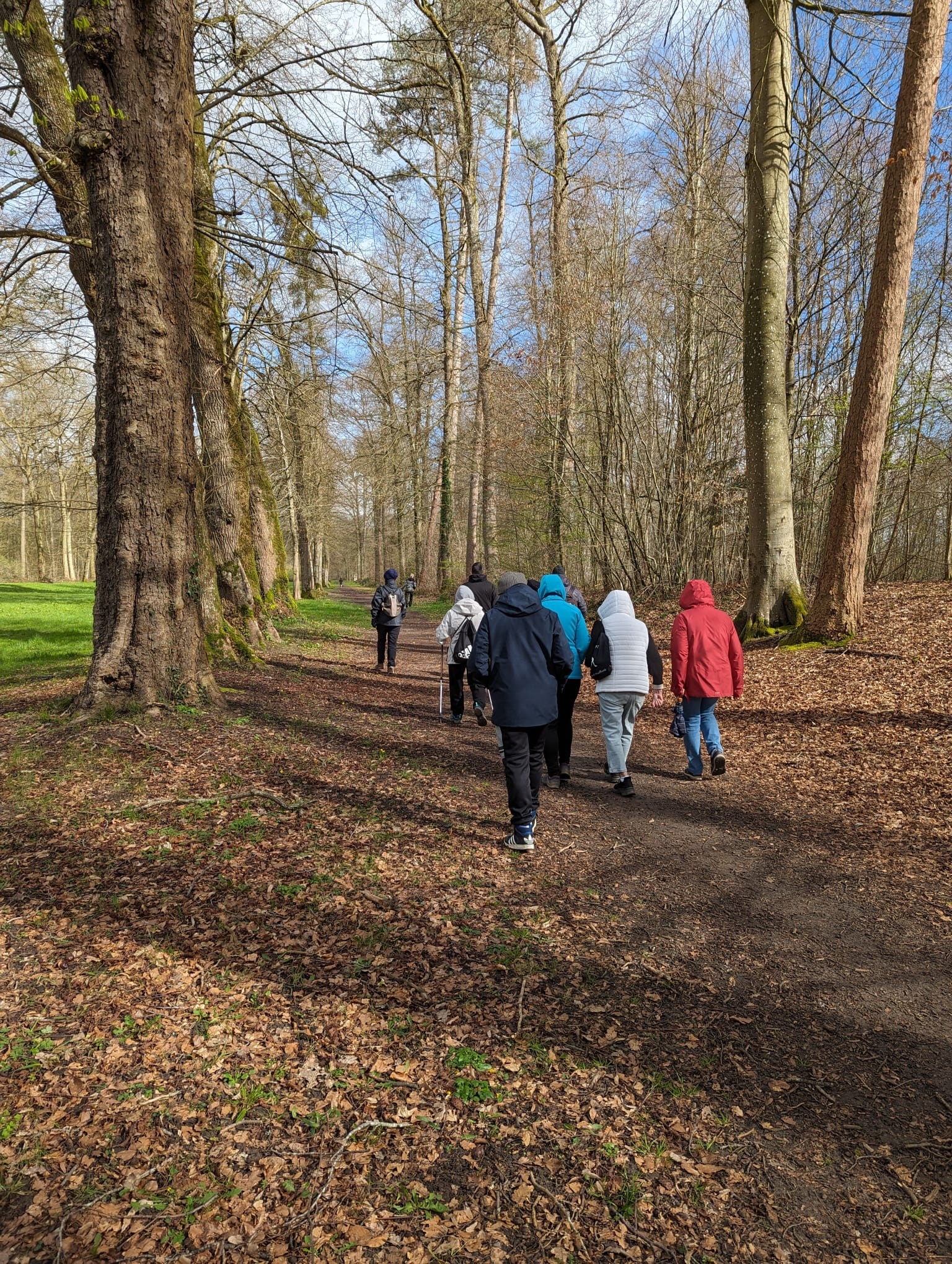 Sous les bois